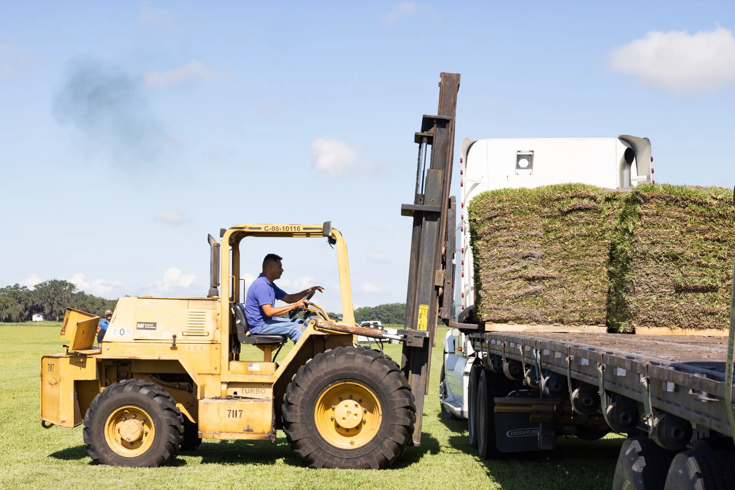 Forklift loading pallets of fresh sod onto a delivery flatbed at the Bayside Sod farm