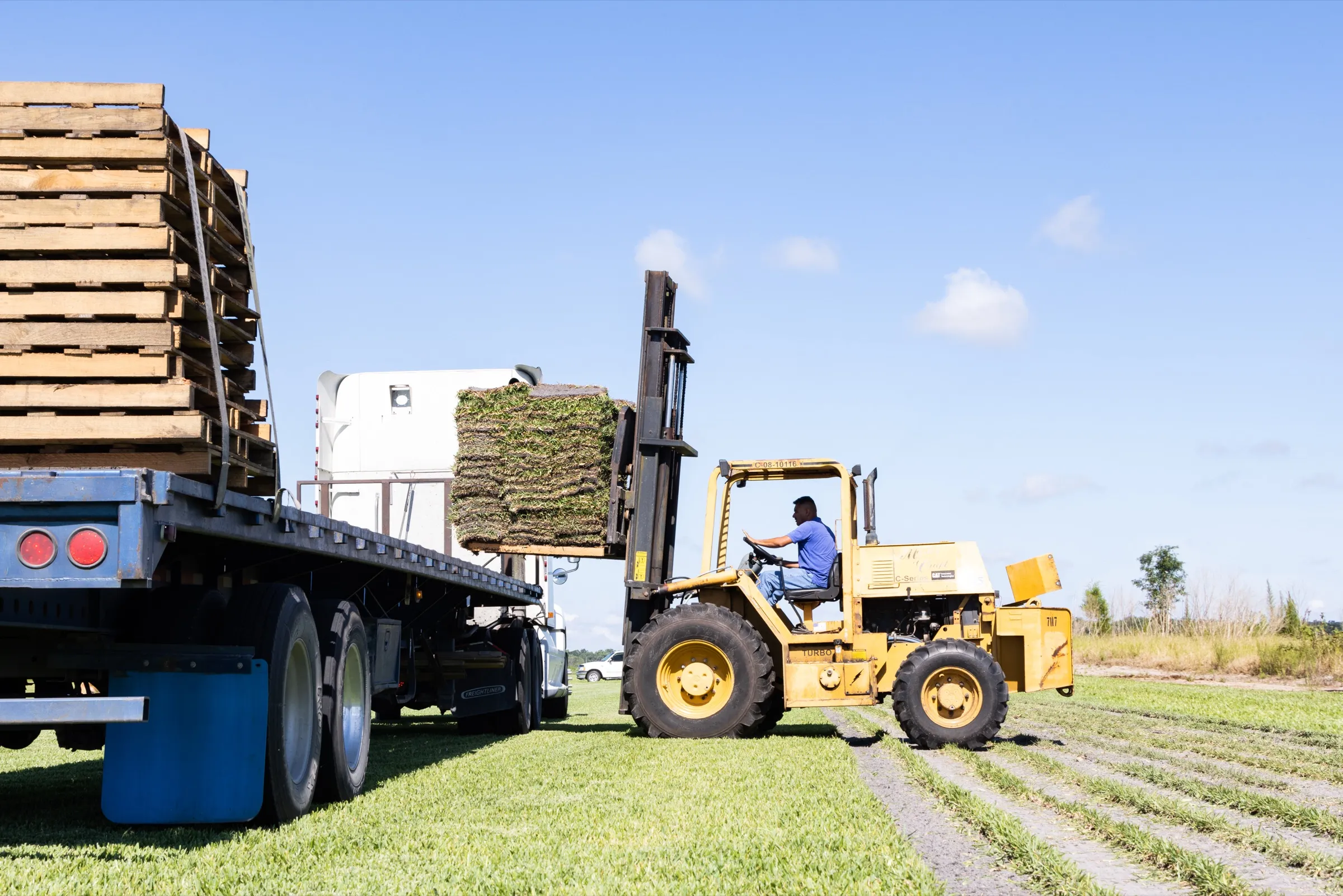 Forklift setting a pallet of fresh sod onto a flatbed truck for delivery at the Bayside Sod farm