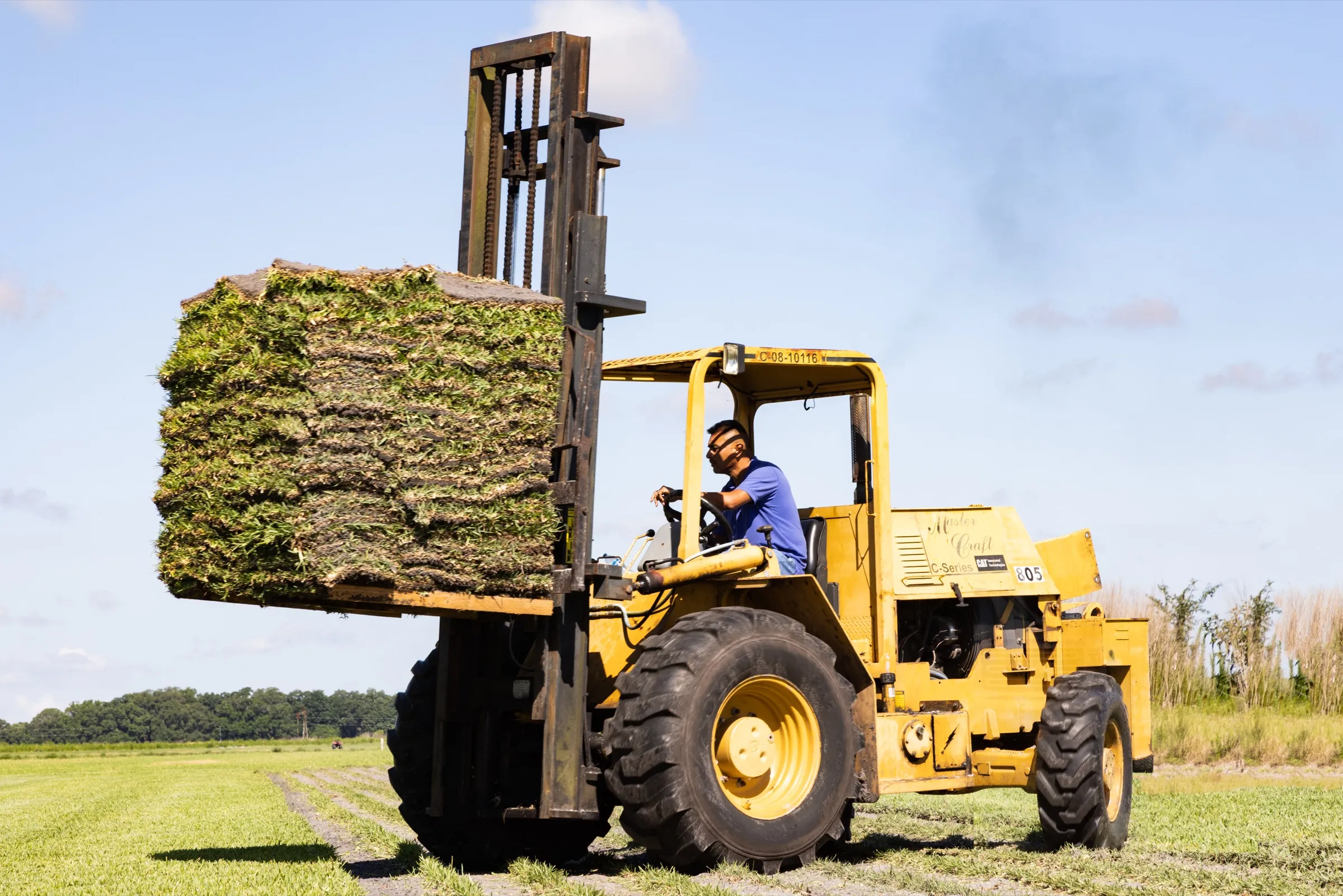 Forklift carrying a pallet of fresh sod at the Bayside Sod farm