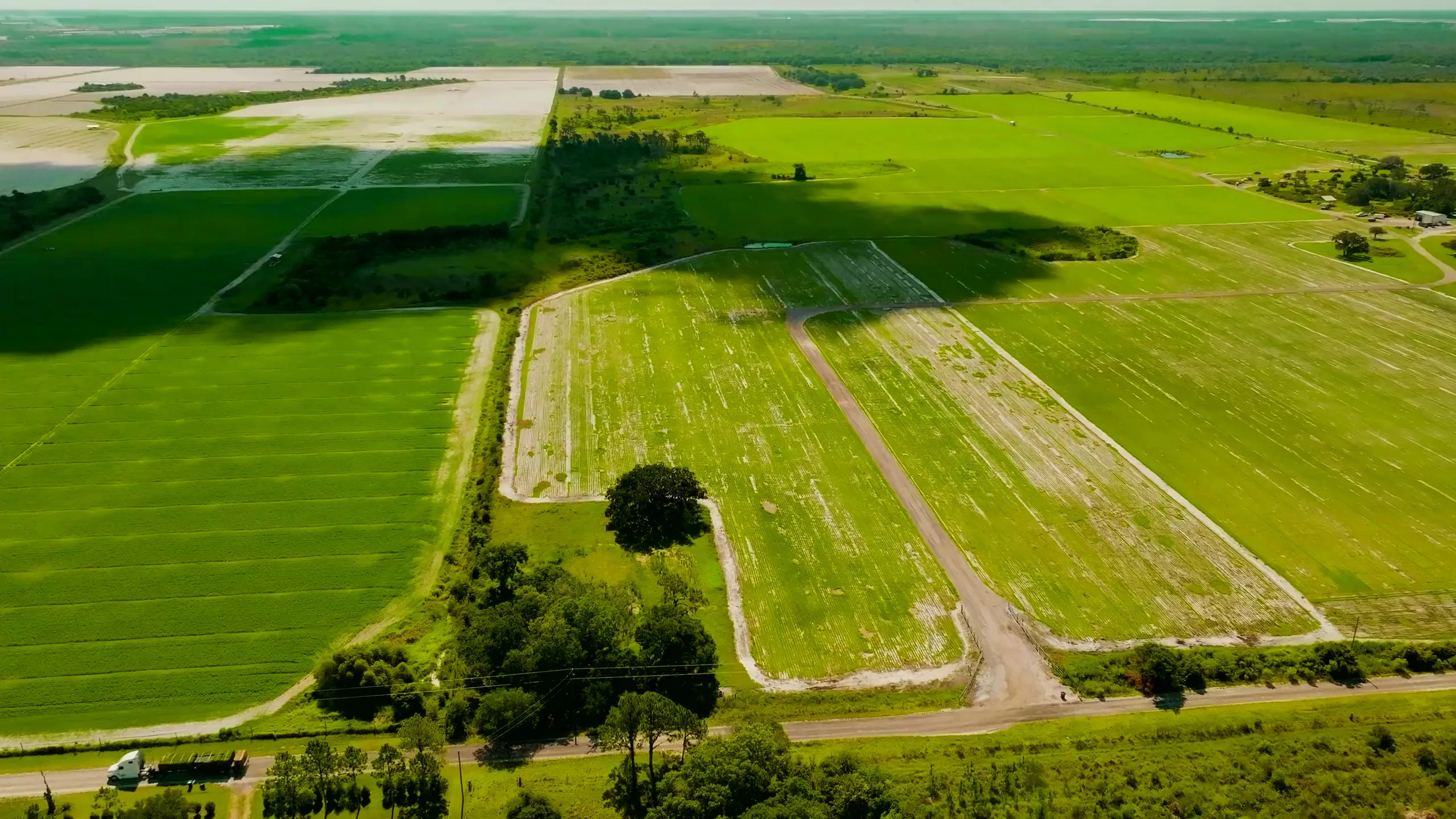 Aerial view of Bayside Sod's grass fields in Bradenton