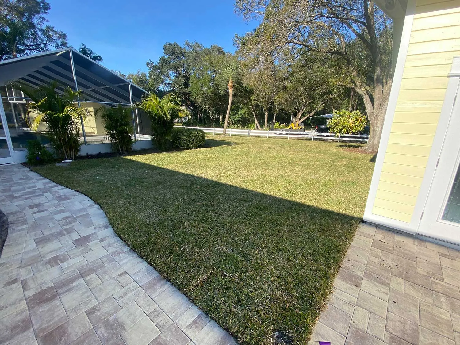 Freshly laid St. Augustine sod in a side yard beside paver walkways