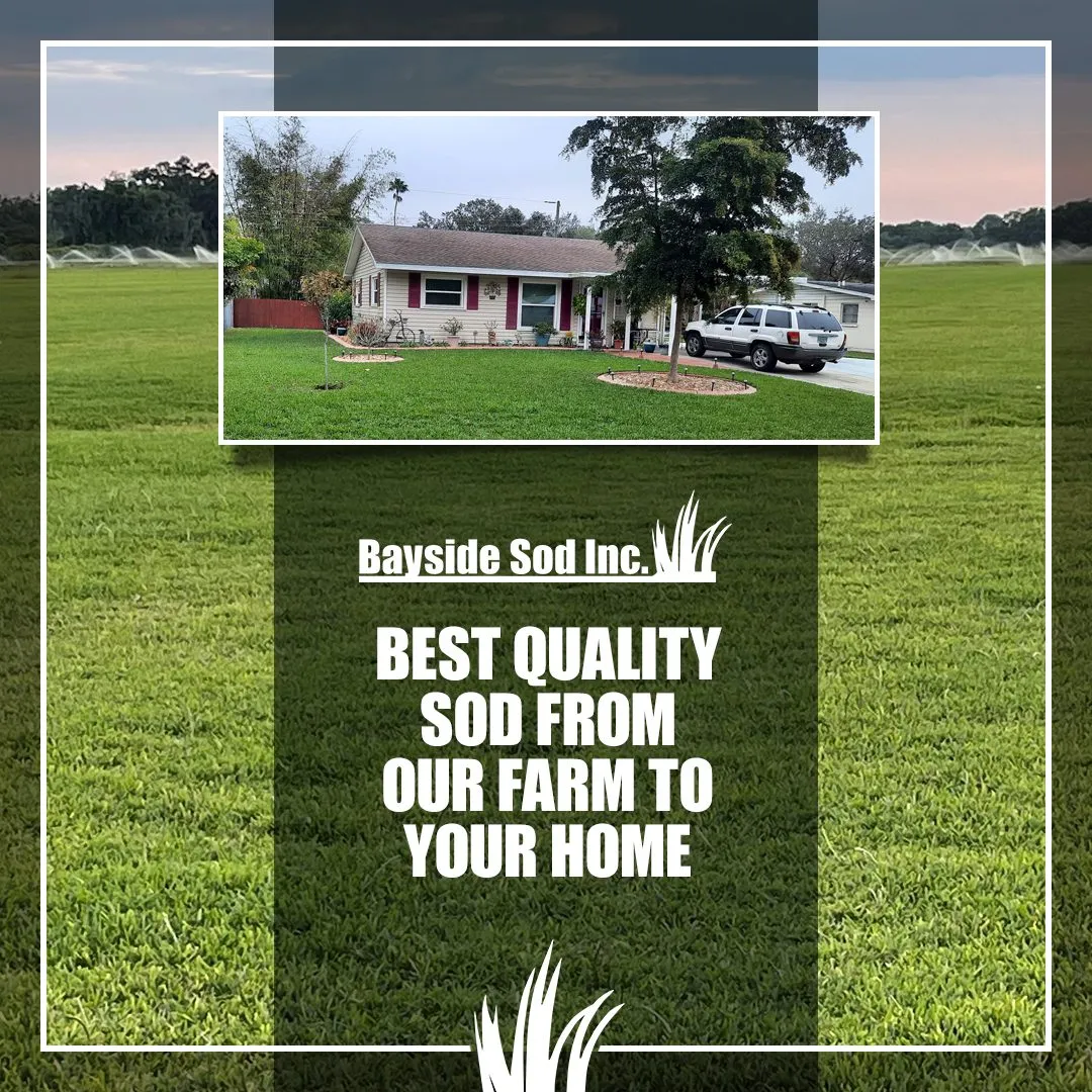 Transform your outdoor space