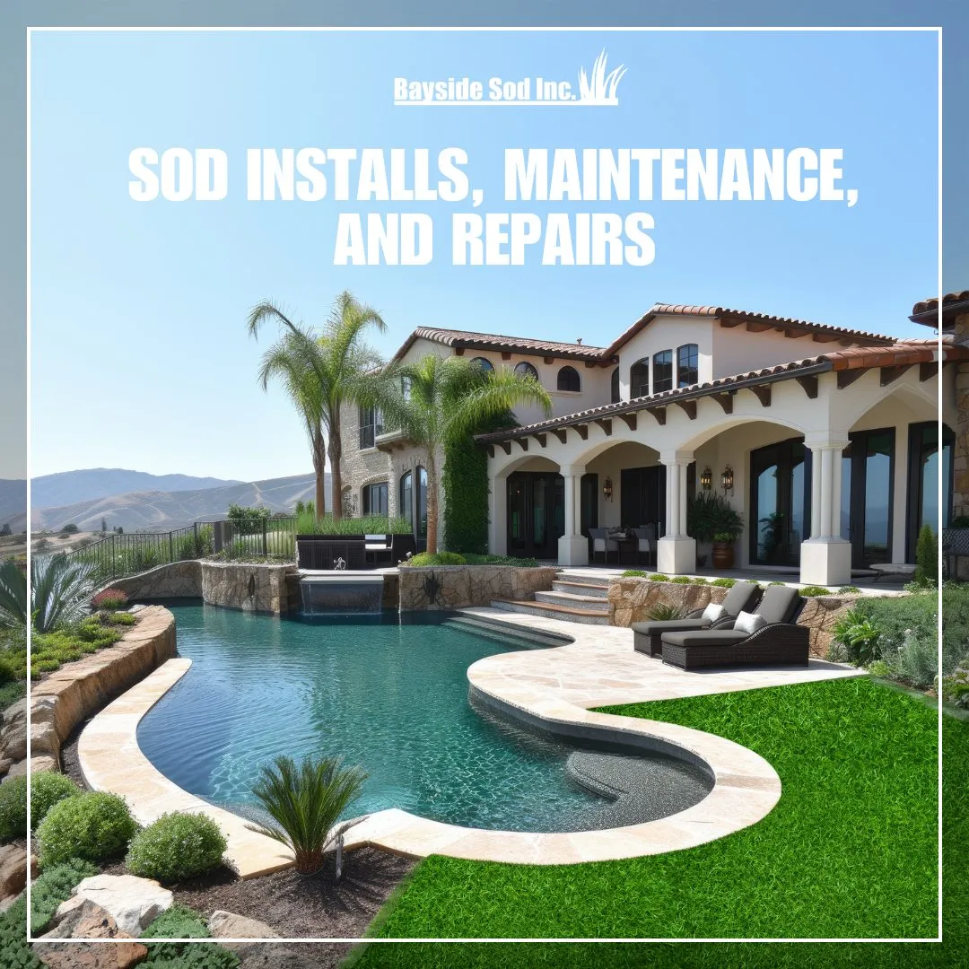 Tip to improve your property value