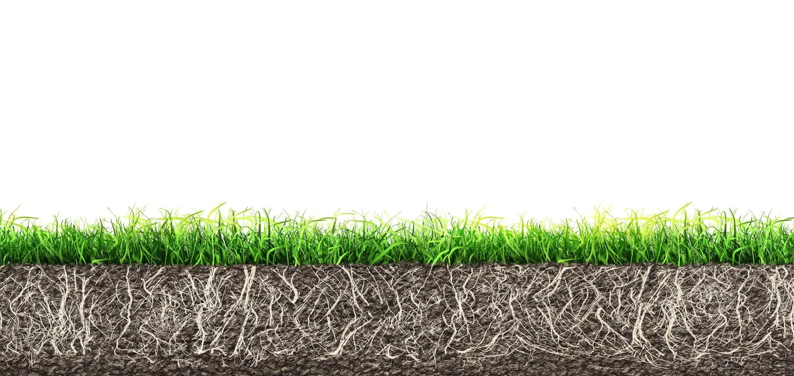 Preventing soil erosion