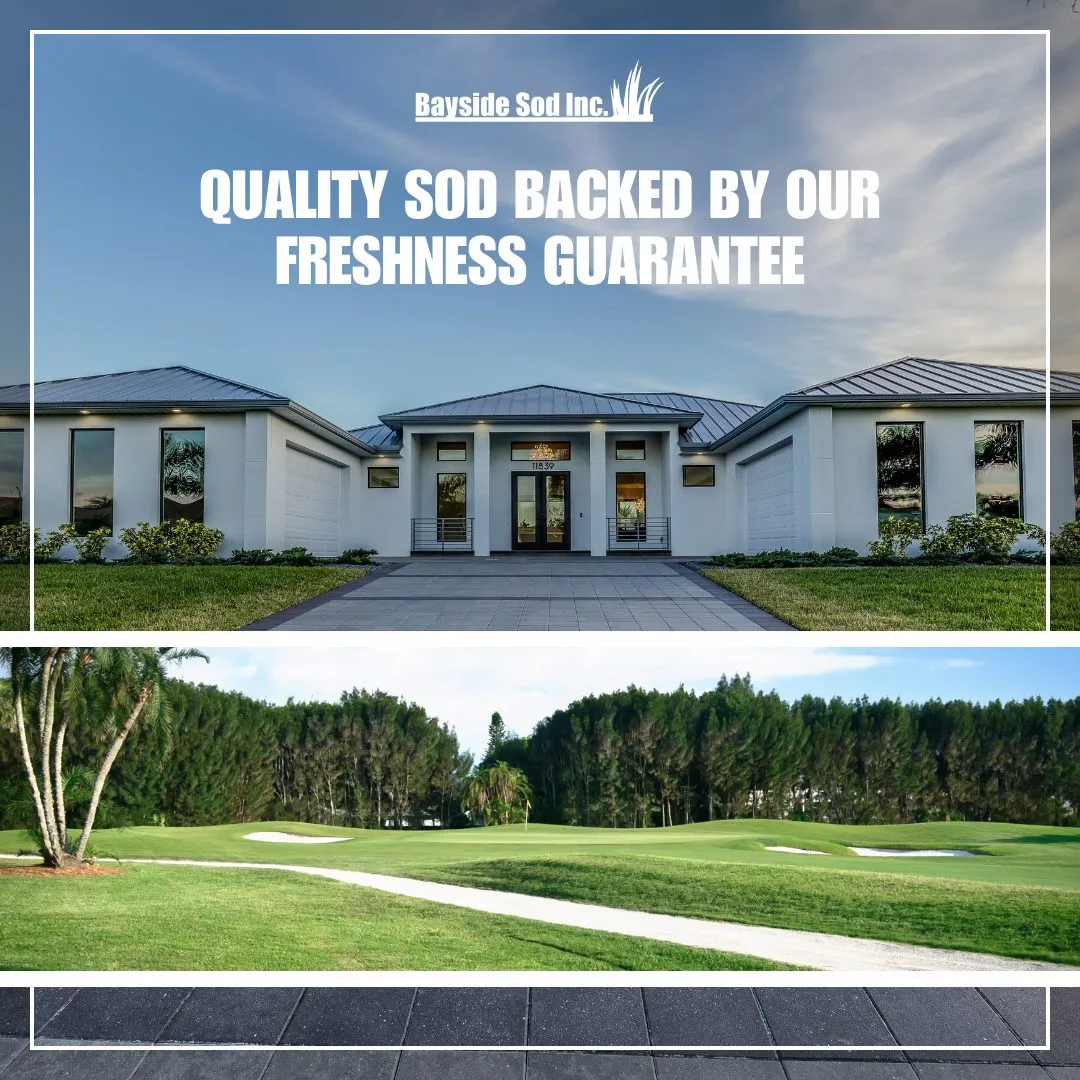 Enhance the curb appeal of your business