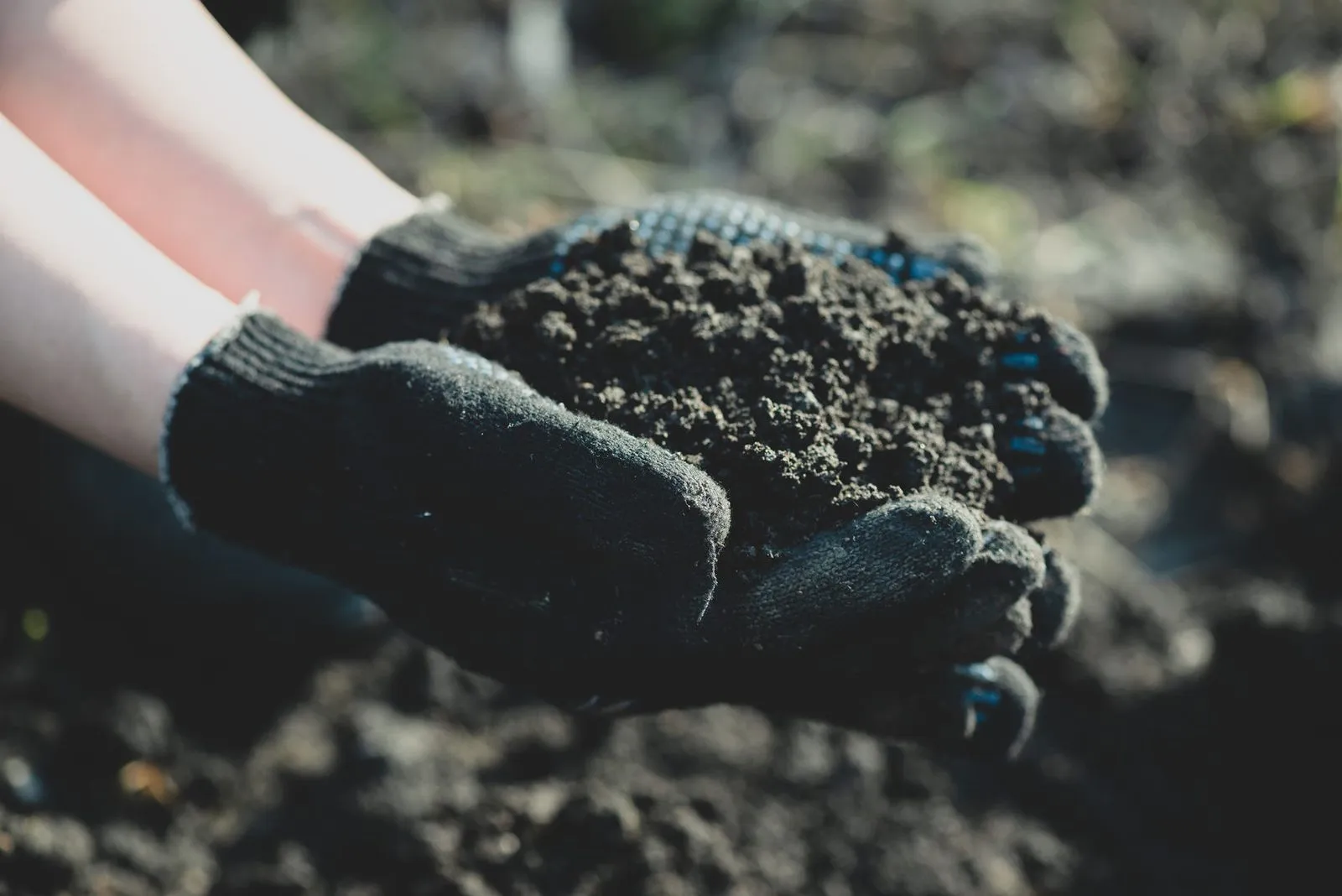 Proper soil preparation is key