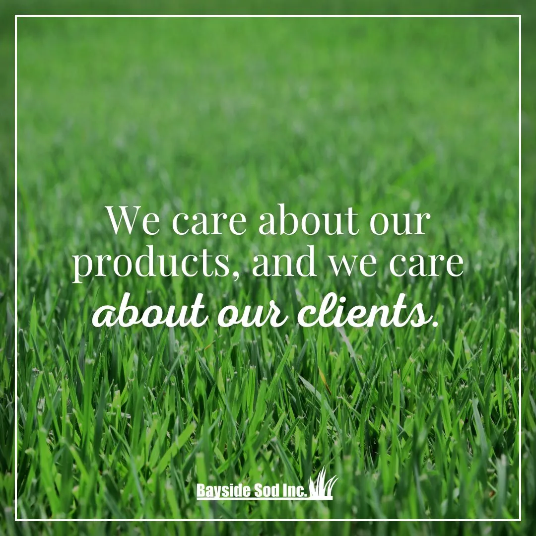 More than just grass