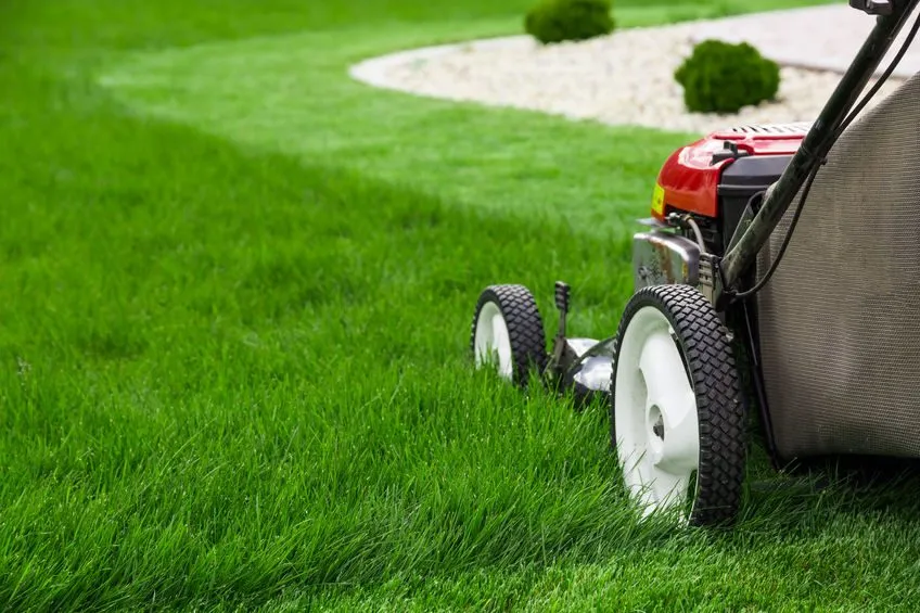 4 maintenance tips for keeping your lawnmower in great shape