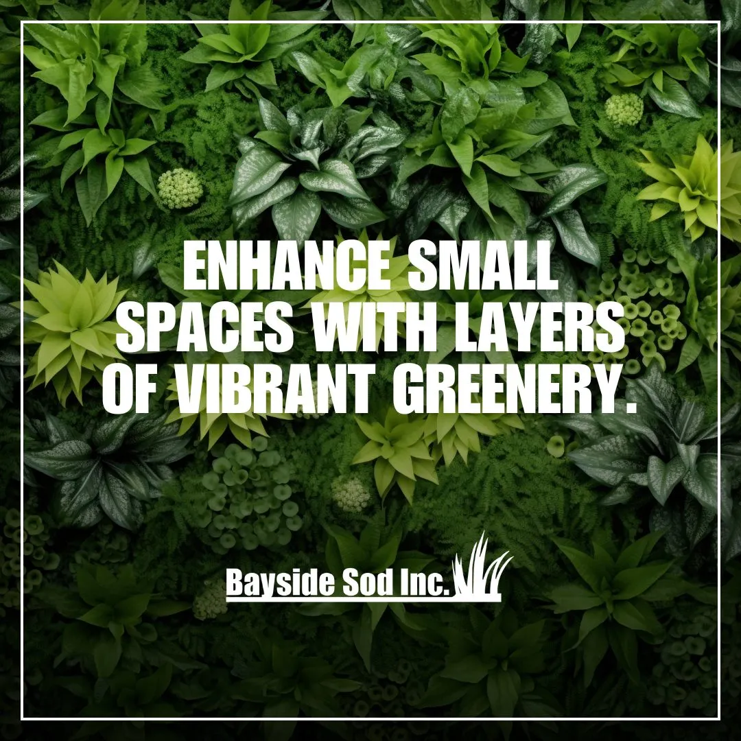 Maximize a small yard