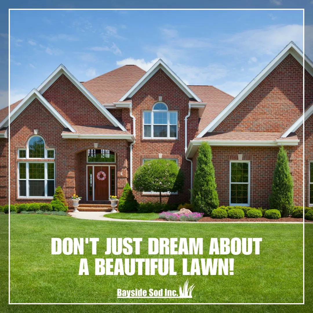 Don't just dream about a beautiful lawn