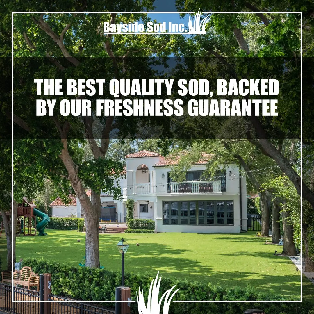Call Bayside Sod today