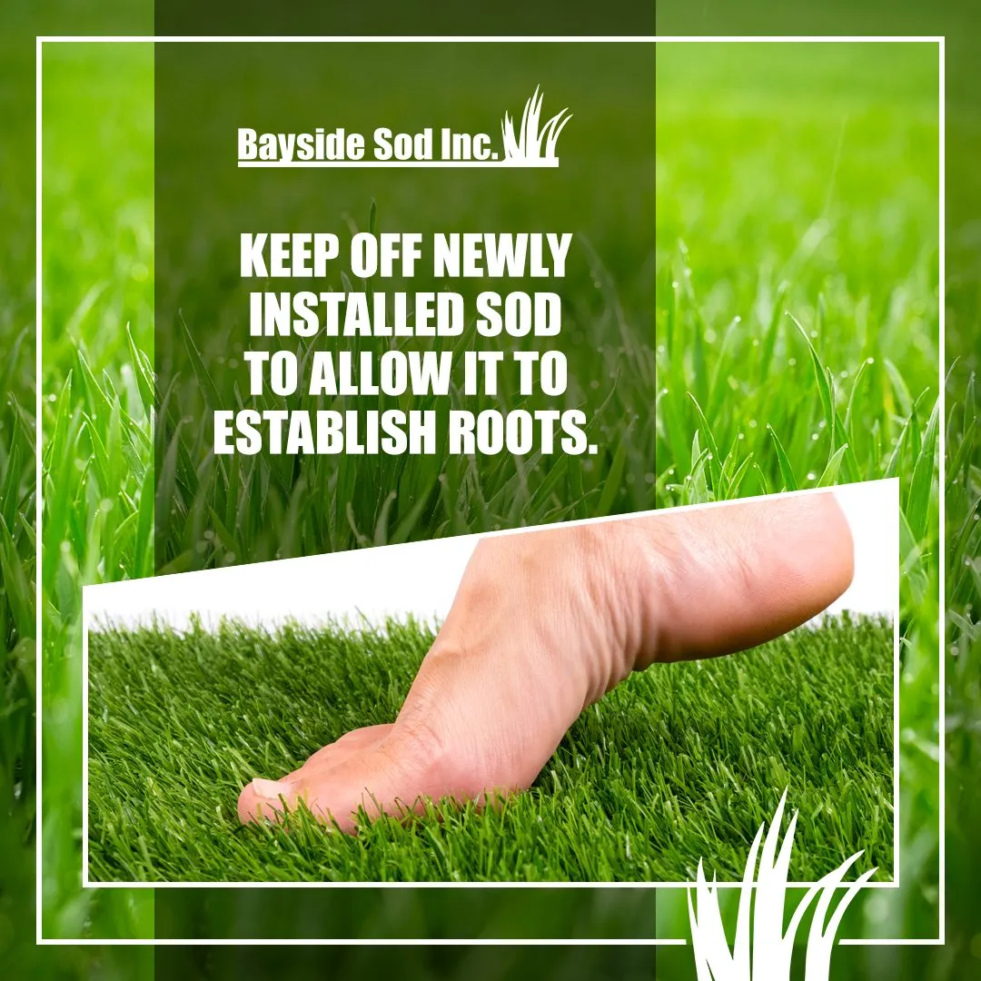 Keep off newly installed sod