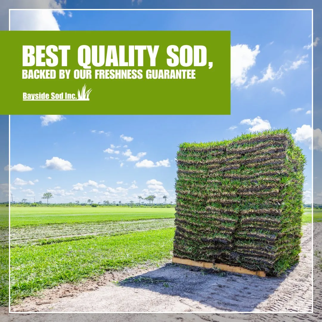 Your go-to source for quality sod