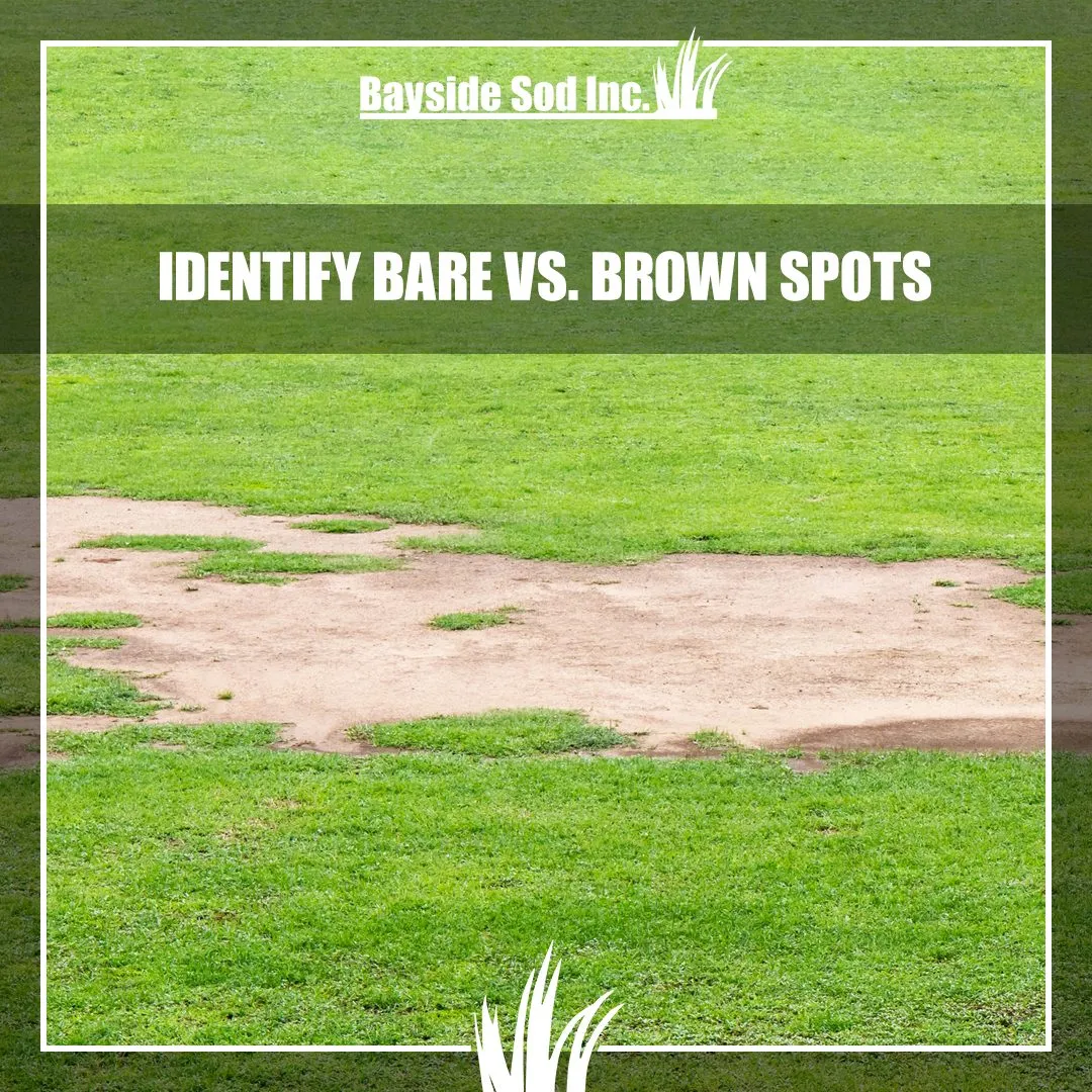 Bare vs. brown spots in your yard