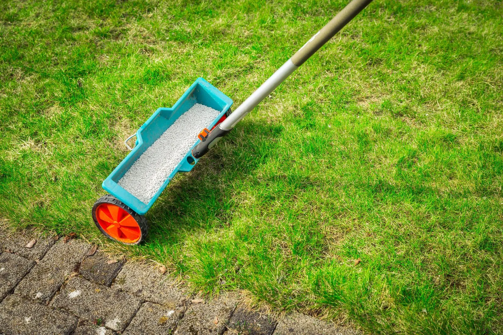Test your soil first