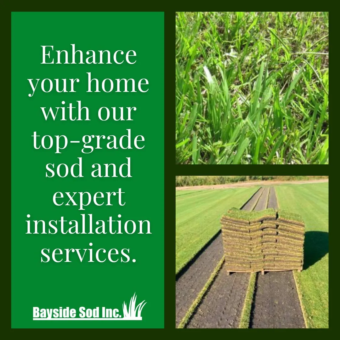 Enhance your home and protect your investment