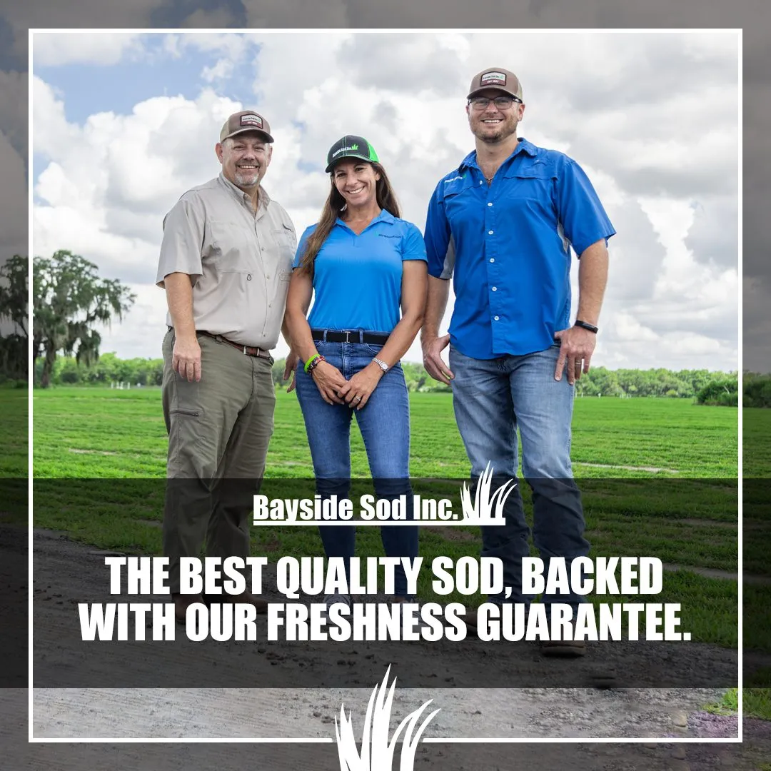 Let us be a part of creating the landscape of your dreams