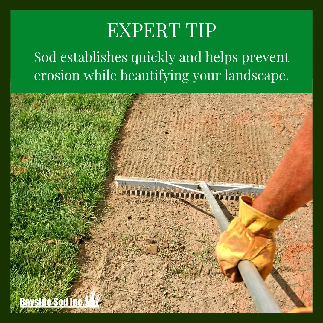 Erosion control