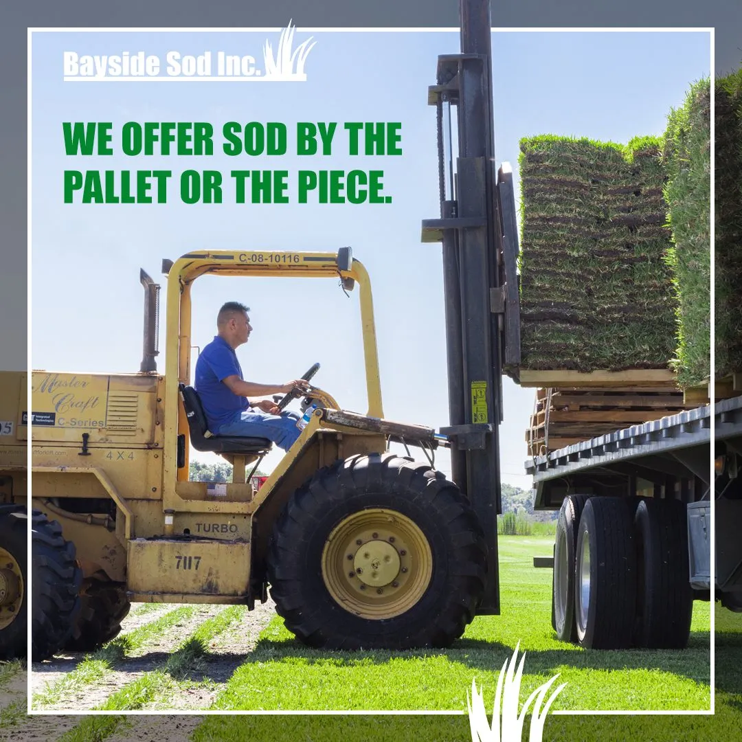 Call the experts at Bayside Sod