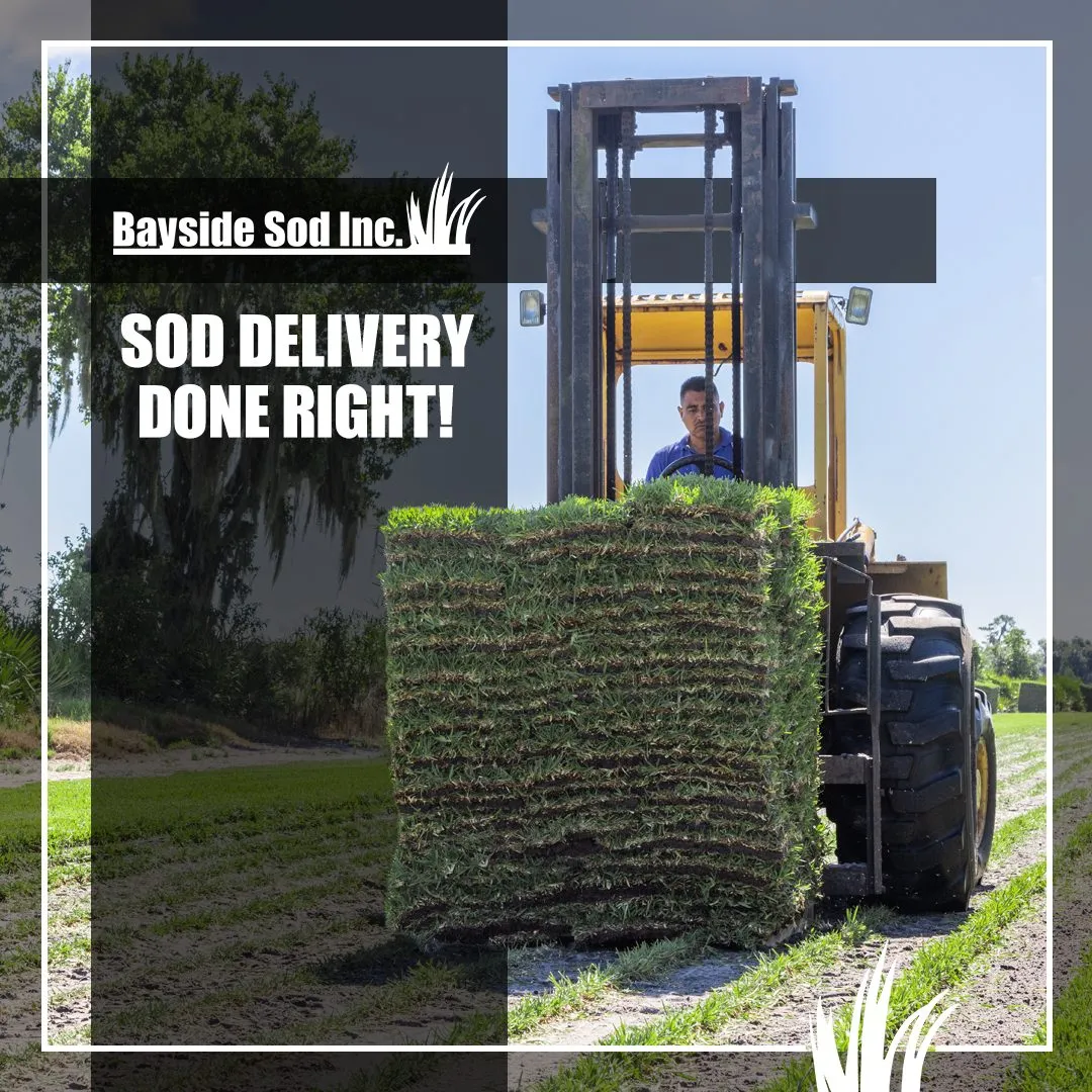 Sod delivery done right!