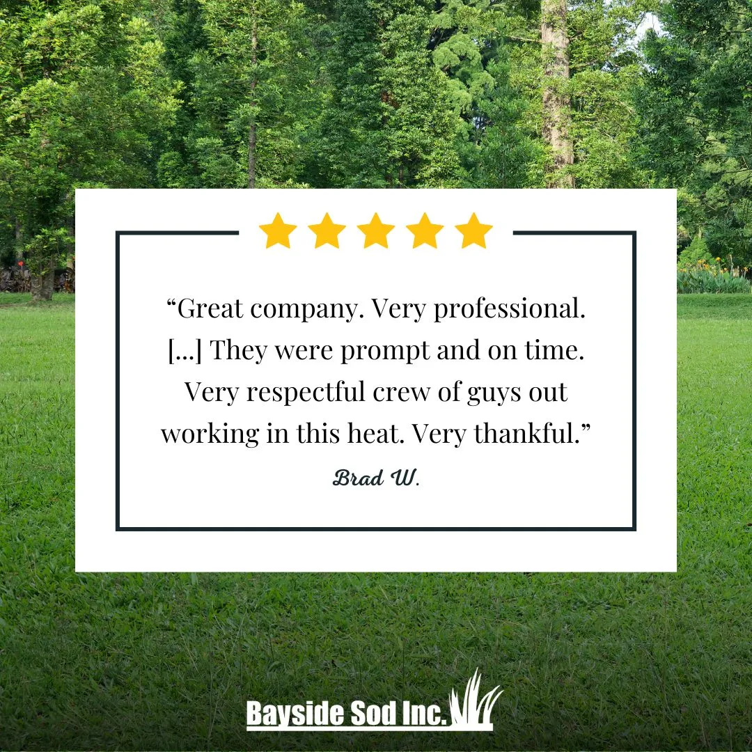 Thanks for the great review, Brad!