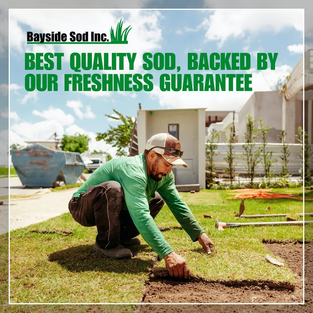 Make your landscaping dreams come true