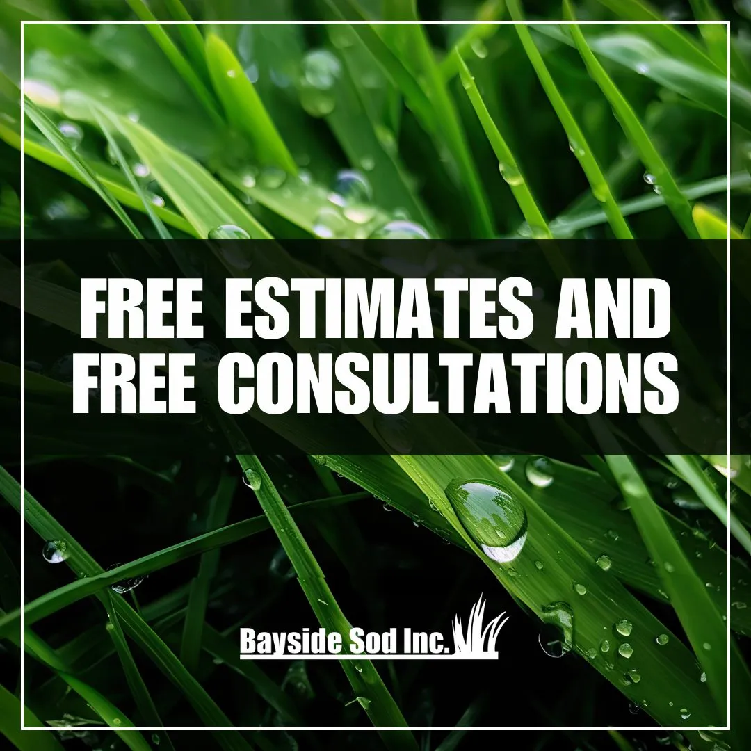 Attention homeowners, businesses, and sod installers!