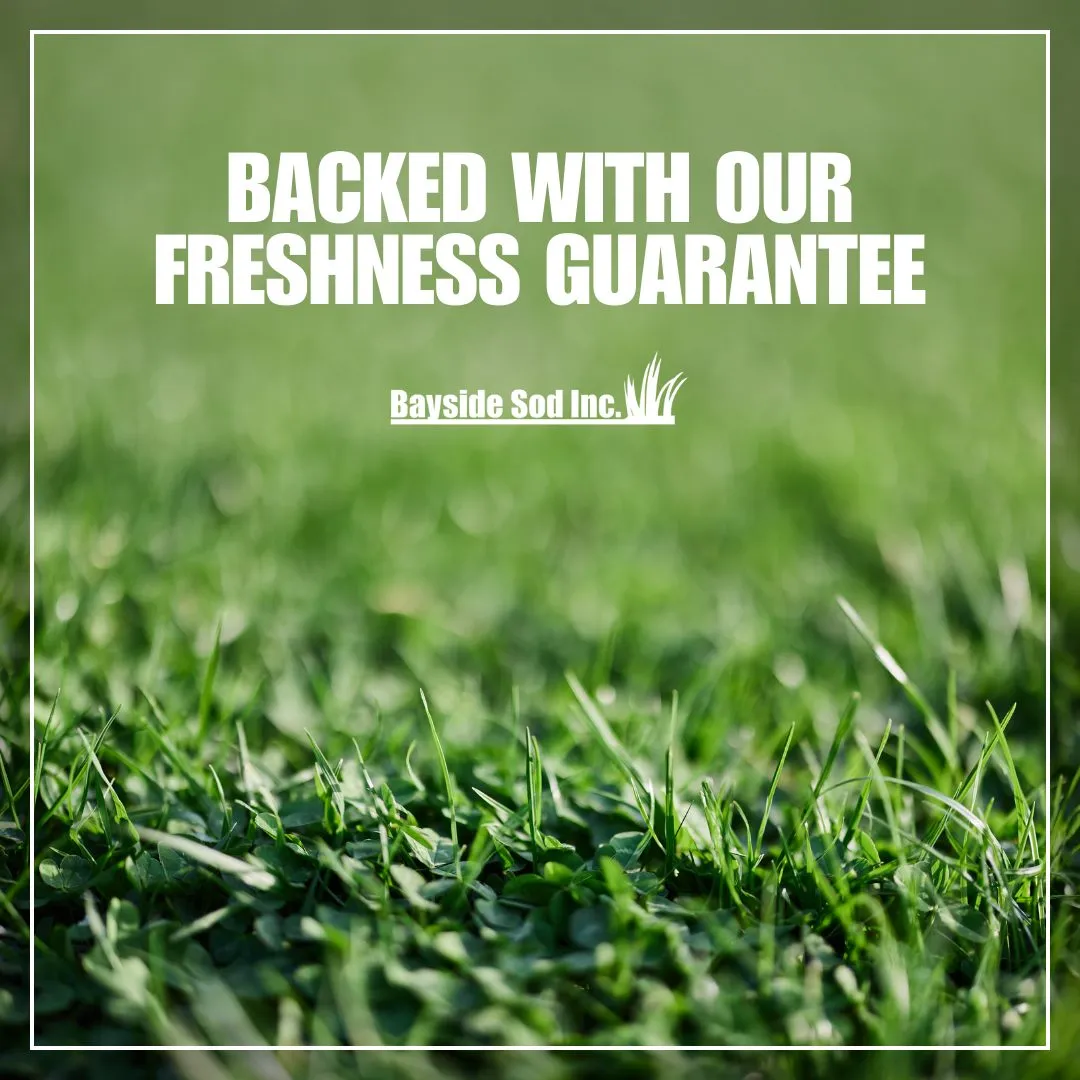 We are proud of what we do
