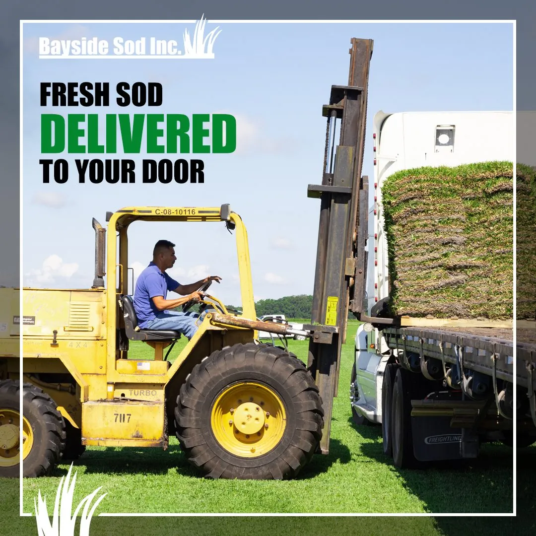Free delivery--even on Saturdays!