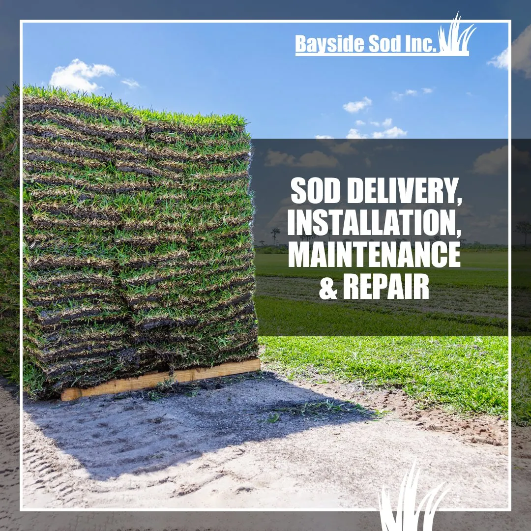 At Bayside Sod, we grow, we install, we deliver
