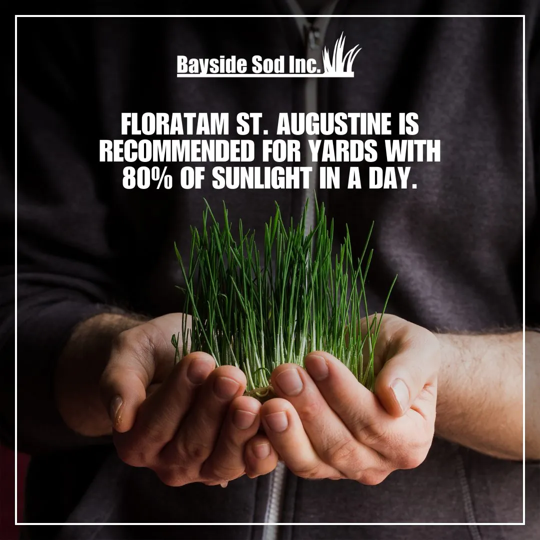 Take advantage of sunlight