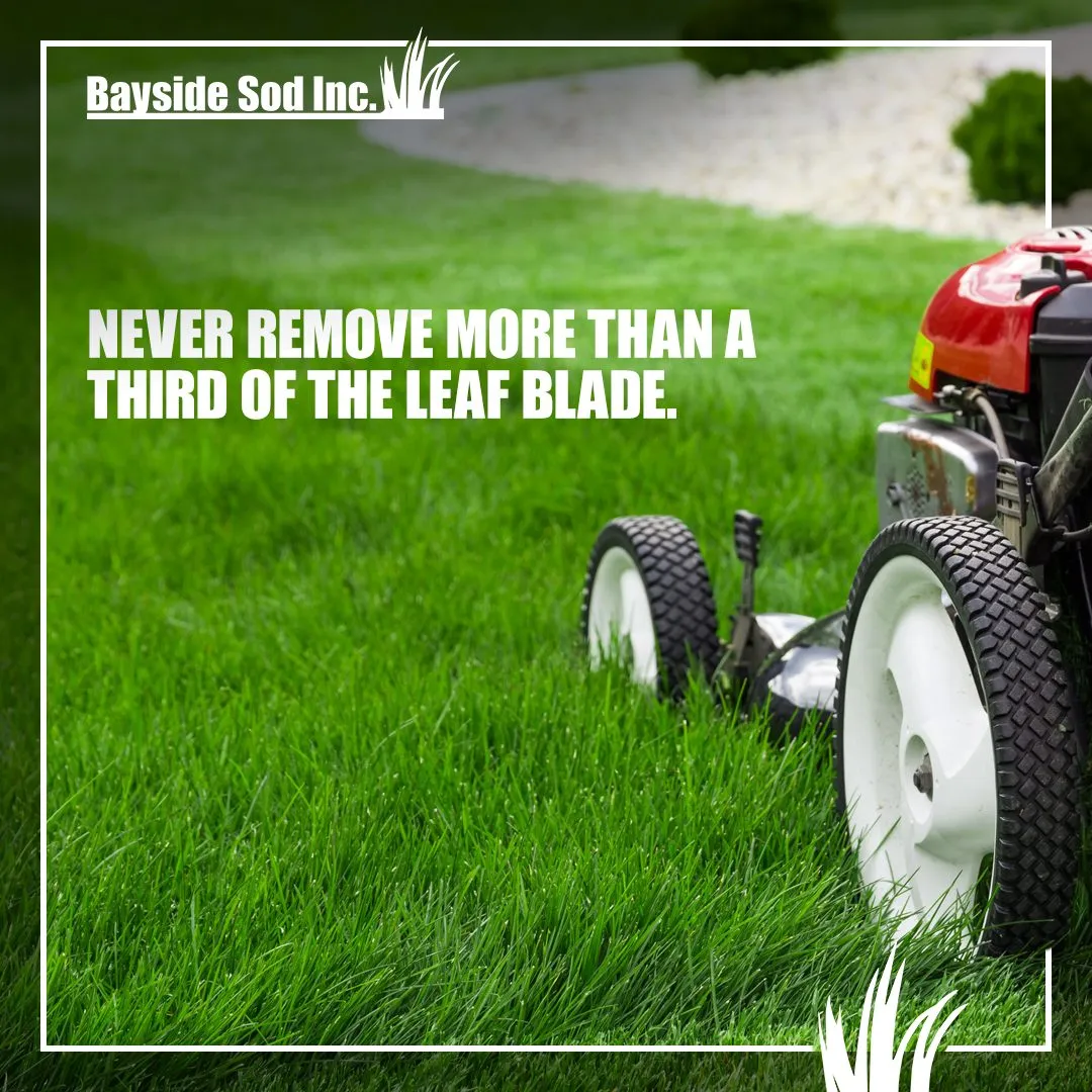 Lawn mowing tip
