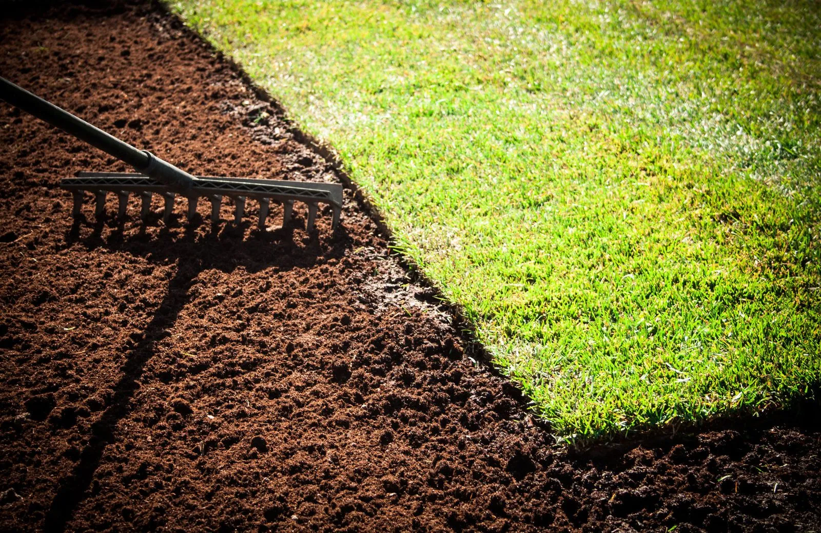 Proper soil preparation is key