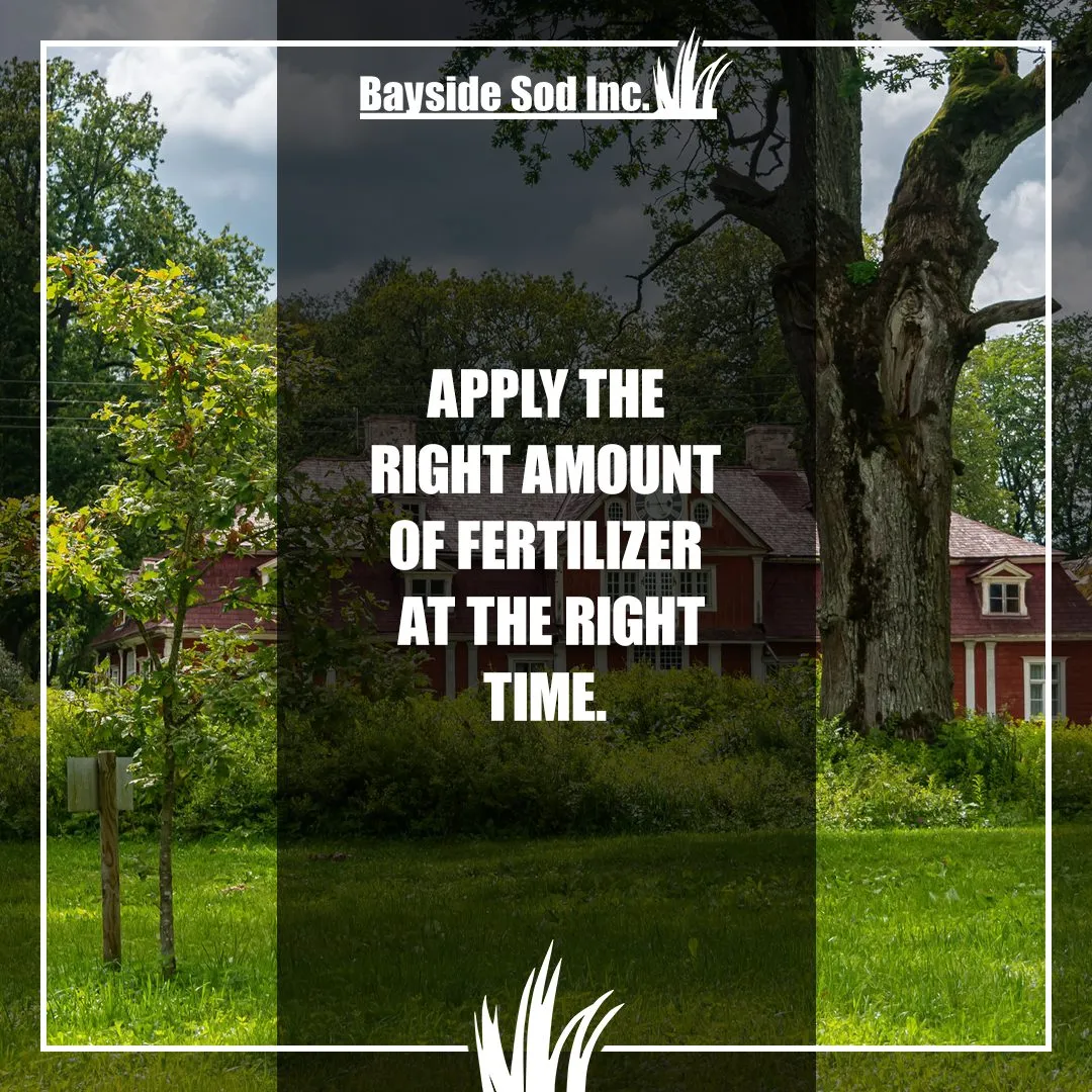 Tips for fertilizing your lawn
