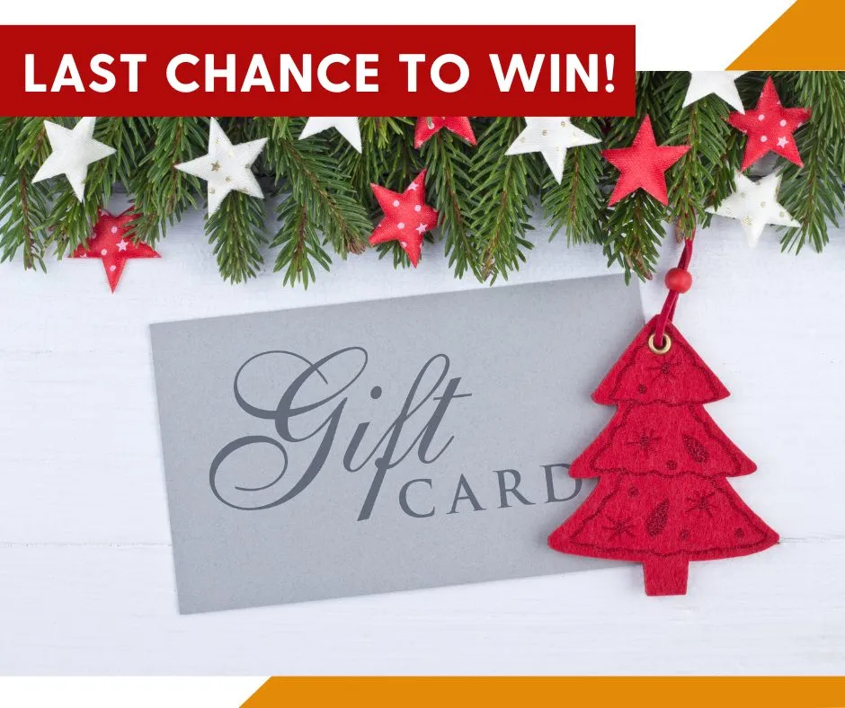 Holiday Shopping Giveaway 2023 - Post 5