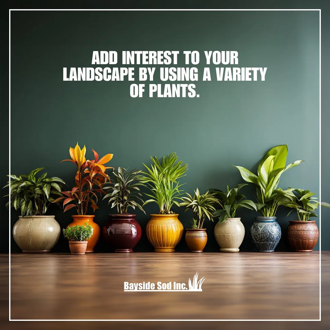 Add interest with a variety of plants