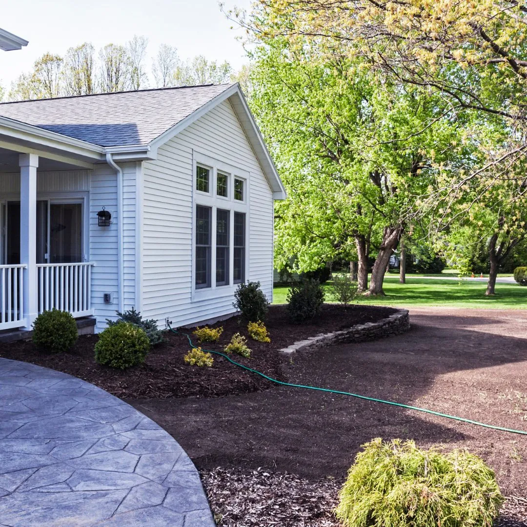 A dense lawn fast