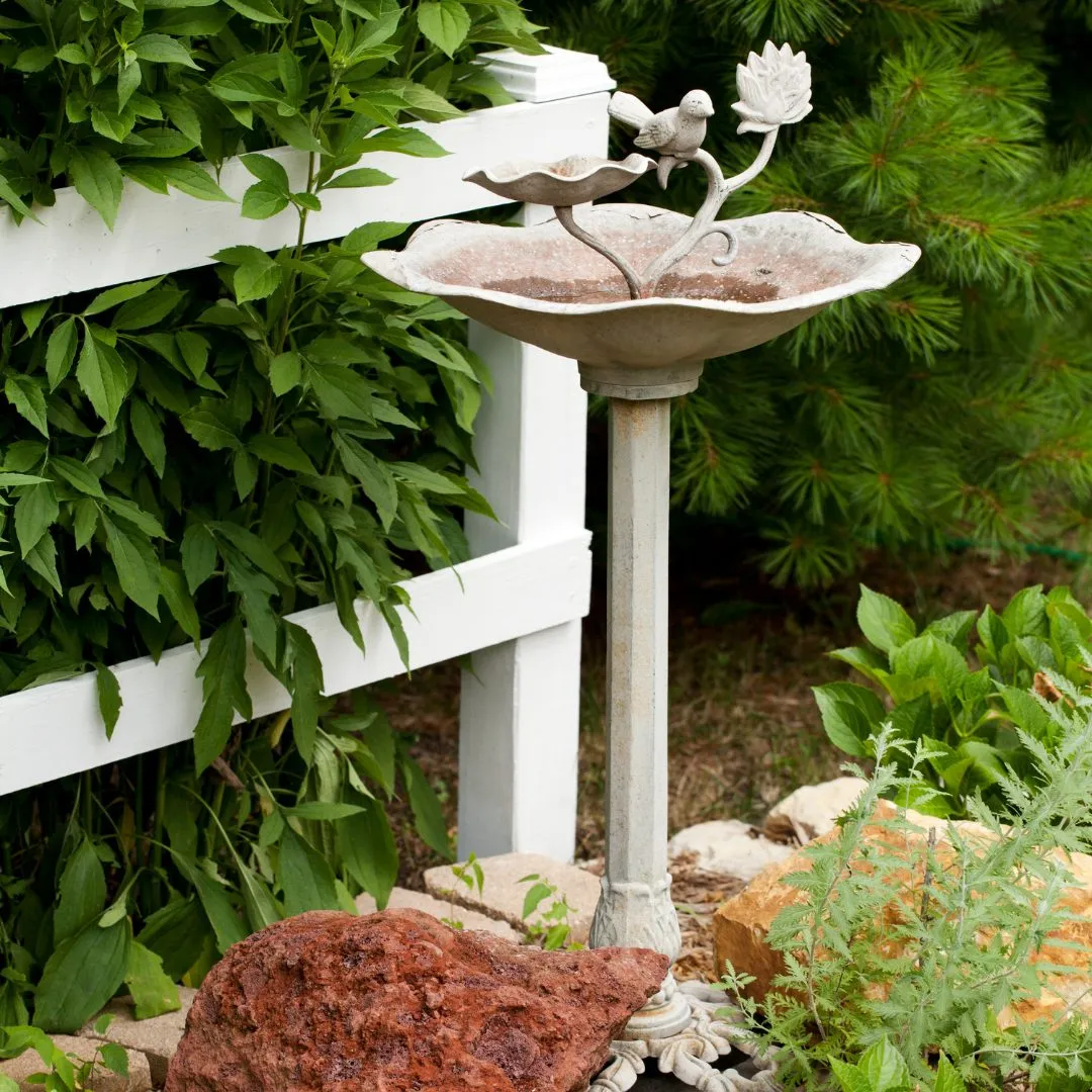 Create a focal point in your garden