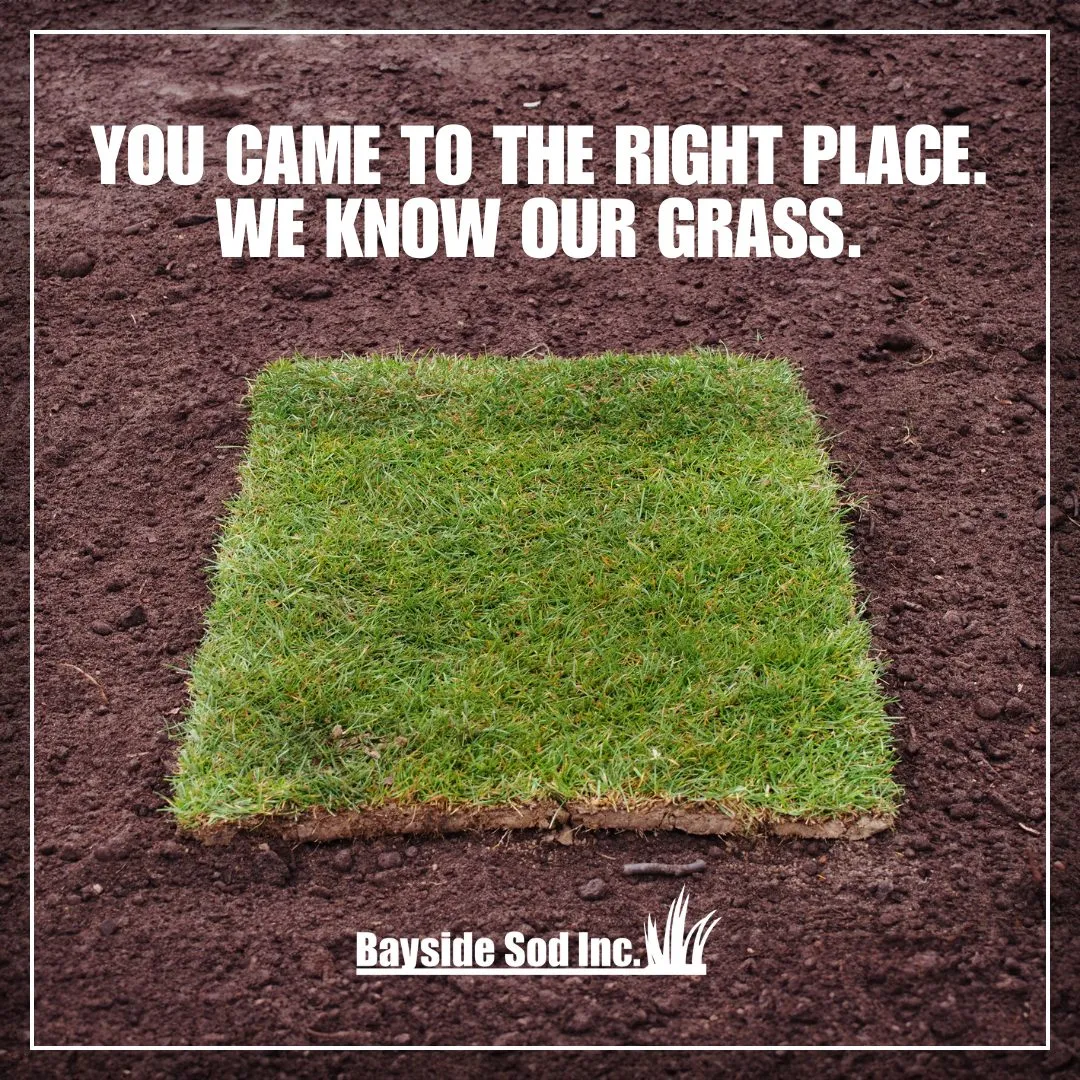 We know our grass