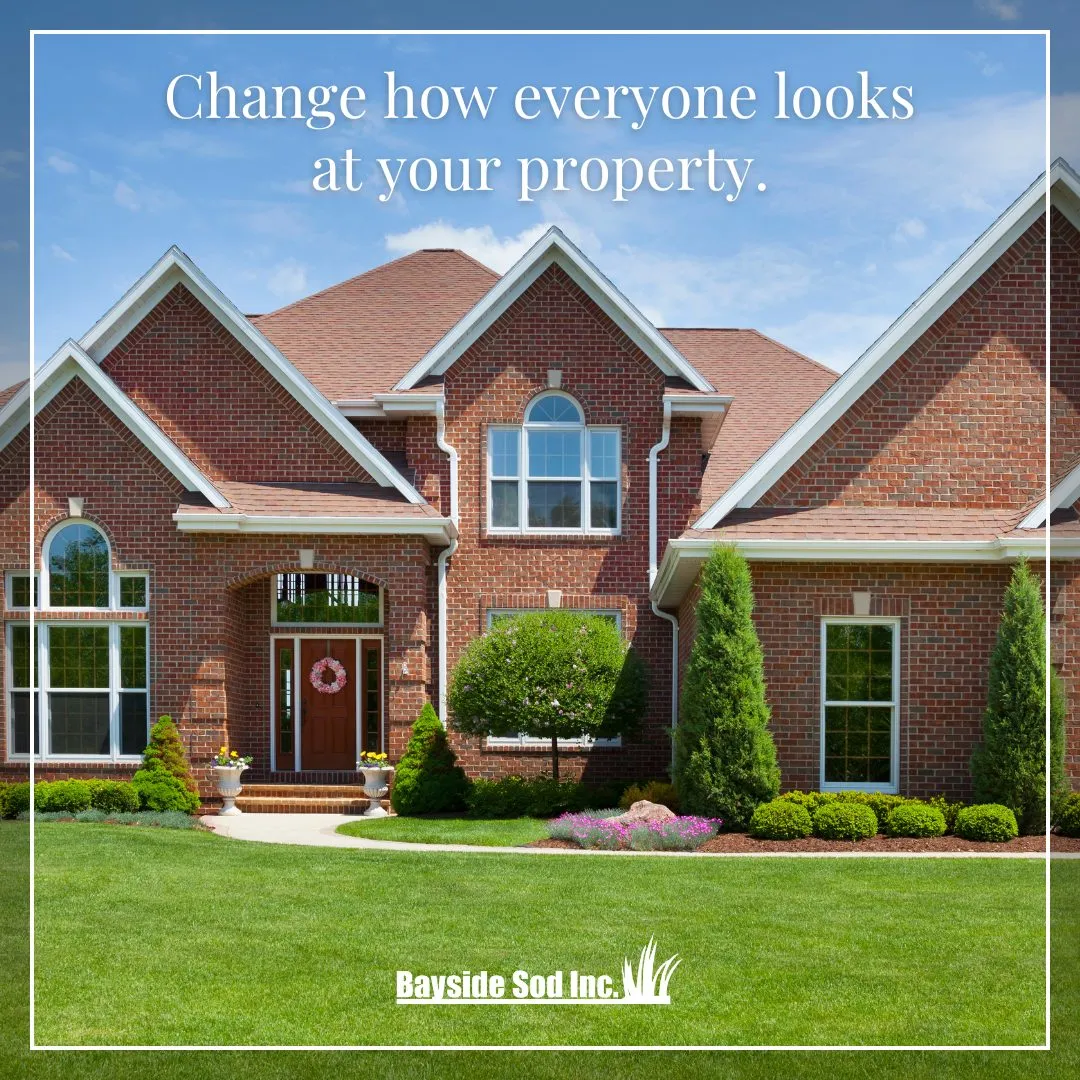 Don't let a patchy lawn dampen your home's curb appeal