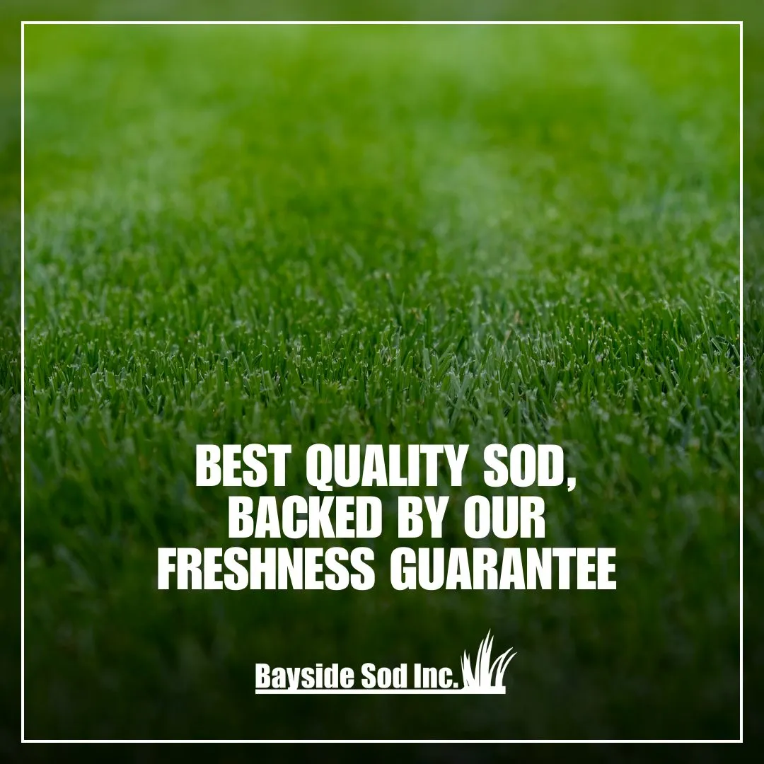We take pride in our sod offerings