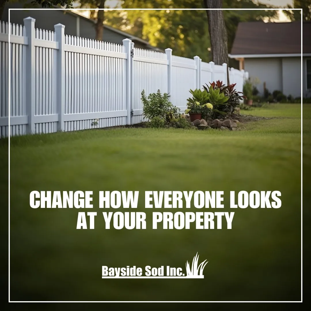 It's time to transform your lawn
