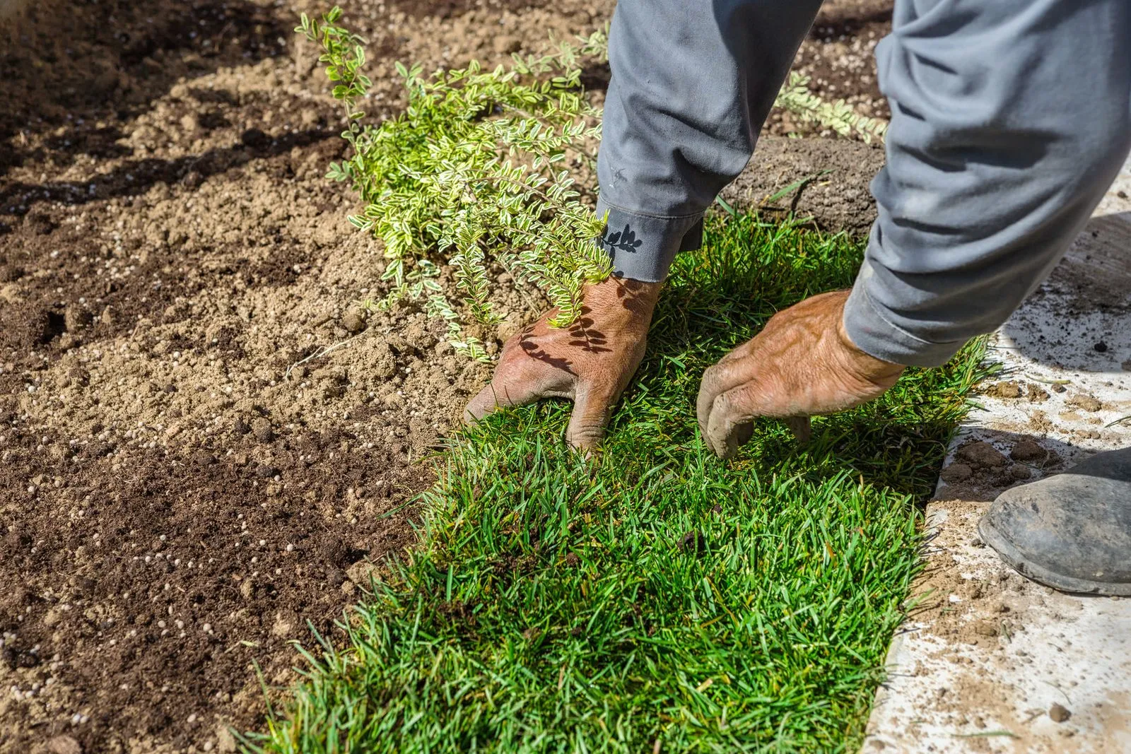 What factors impact sod project costs?
