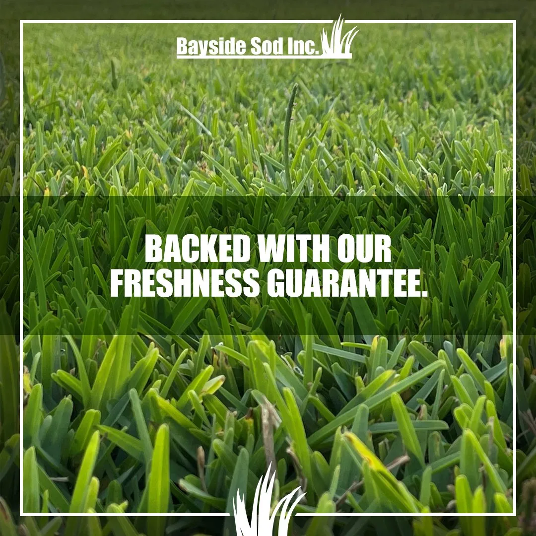 We know our grass