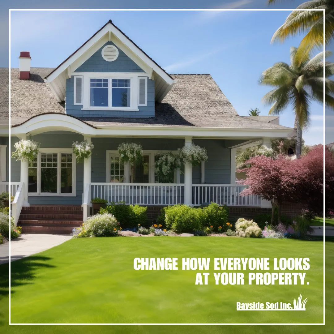 We'll transform your lawn