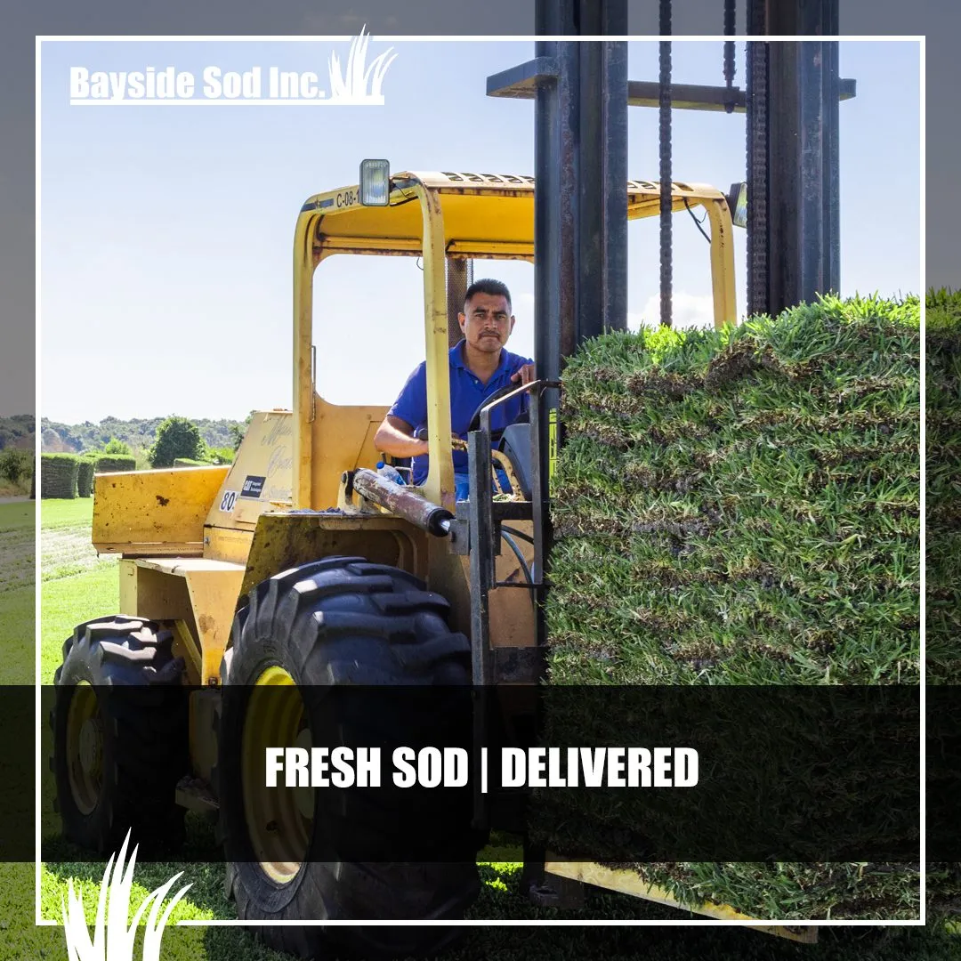 Landscapers: this is for you
