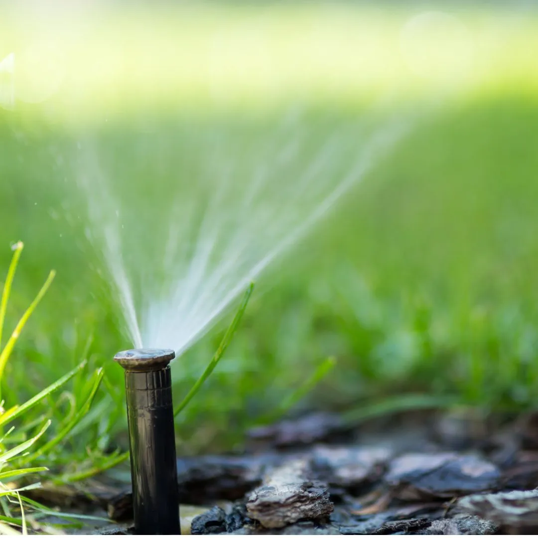 Wondering when to water your new sod?