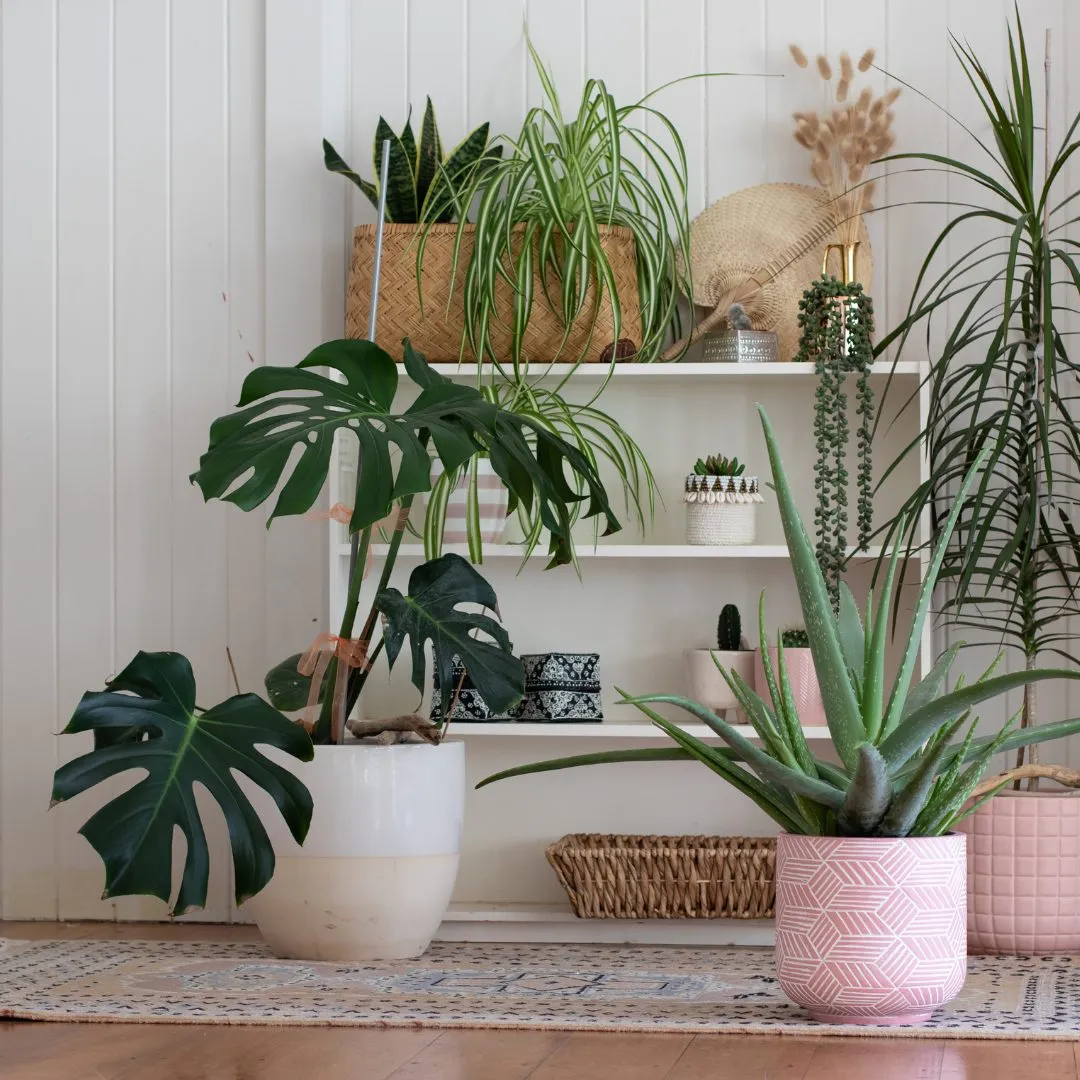 Bring the outdoors in