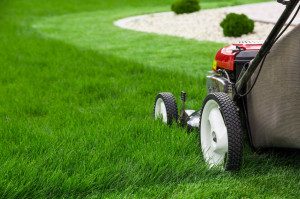 40449030 - lawn mower