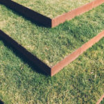 4 Signs That It’s Time to Replace Your Grass